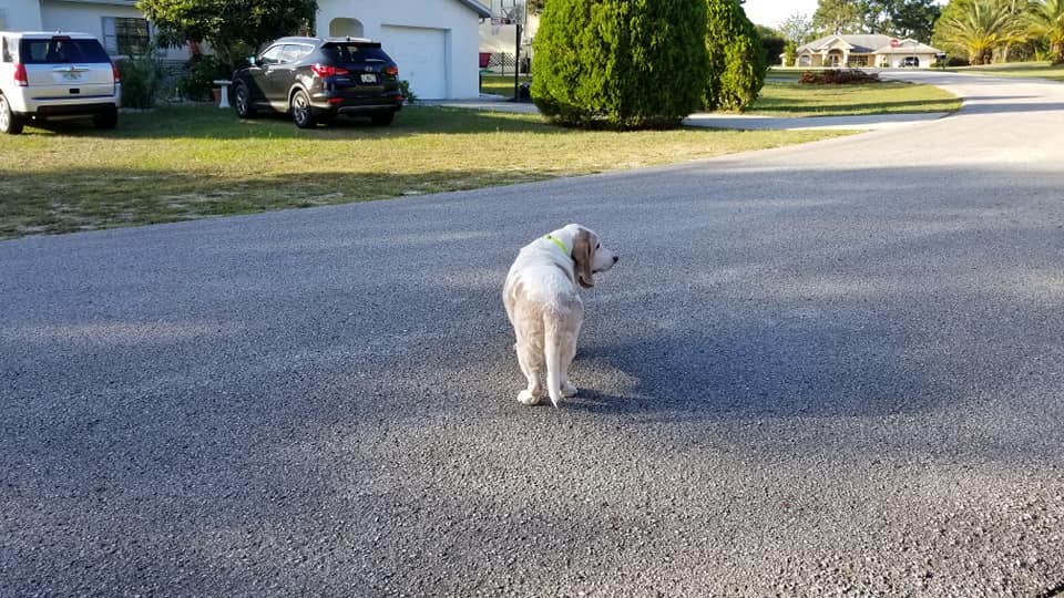 Standing in the street outside Mom's home.  It is time to move on.